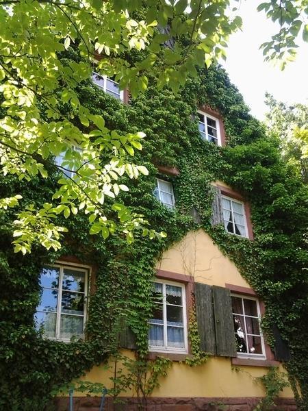 Gastehaus Zum Alten Schulhaus Hotel Милтенберг Стая снимка